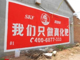  武宁刷墙广告”蕴含了时代命题