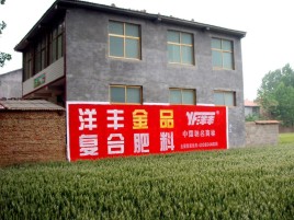  武宁如何让墙体广告展现最大化效果