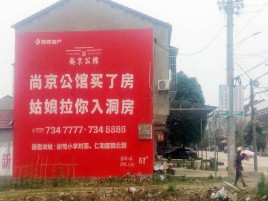  武宁墙体广告在乡镇、农村市场的媒体优势