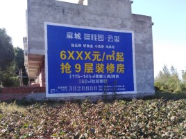  武宁品牌公司青睐的墙体广告