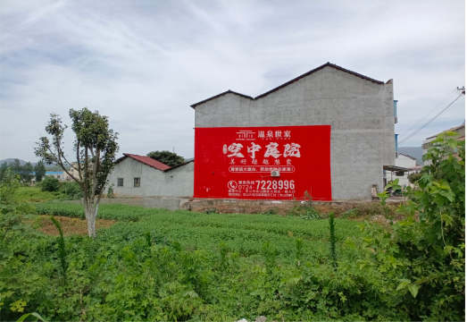  武宁做墙体广告的意义