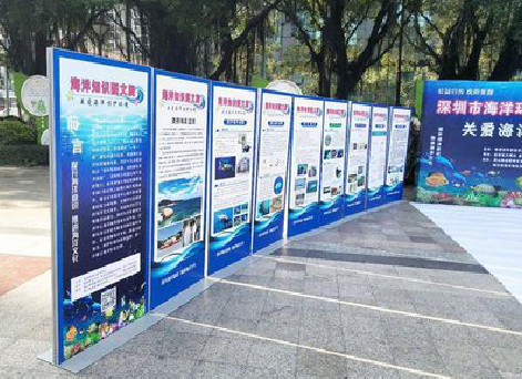  武宁KT板的种类和知识。